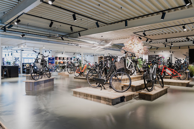 Beoordelingen van Wildiers (e)-bikecenter Malle in Turnhout - Fietsenwinkel