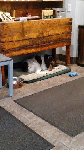 Barber Shop «Barbershop Deluxe», reviews and photos, 288 Columbus Ave, Boston, MA 02116, USA