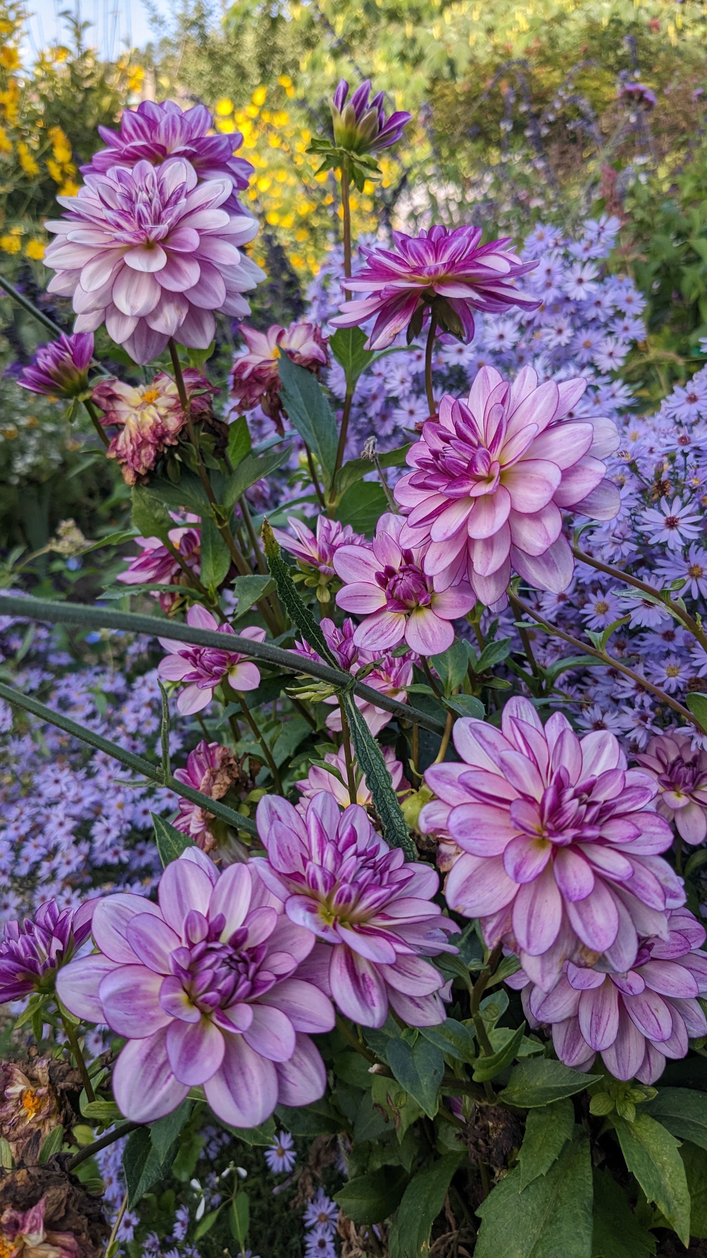 Photo n° 18 de l'avis de Laurence.o fait le 11/10/2023 à 19:39