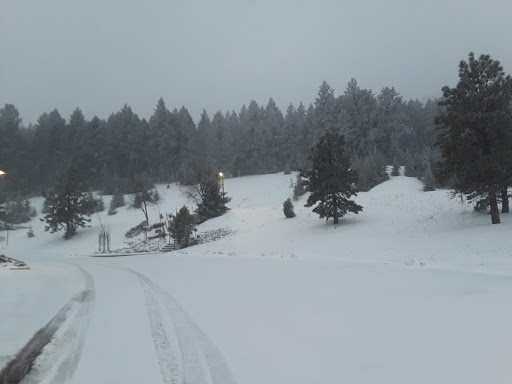 Shopping Mall «Federal Mexicana Mall», reviews and photos, 2970 W Barberry Pl, Denver, CO 80204, USA