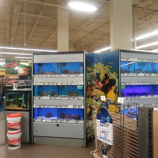 Pet Supply Store «Petco Animal Supplies», reviews and photos, 13741 S Tamiami Trail #2, Fort Myers, FL 33912, USA