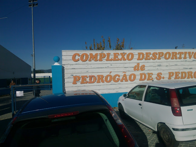 Complexo Desportivo de Pedrogão de São Pedro - Campo de futebol