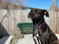 Pups N Roses LLC - Photo 4 - Car repair in , Elizabeth