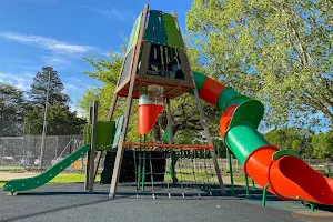 Queanbeyan Central Park & Playground image