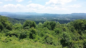 Valhalla Vineyards - photo 3