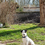 Photo n° 2 de l'avis de Gaby. fait le 21/02/2023 à 15:51 pour Forteresse médiévale de Yèvre-le-Châtel à Yèvre-la-Ville