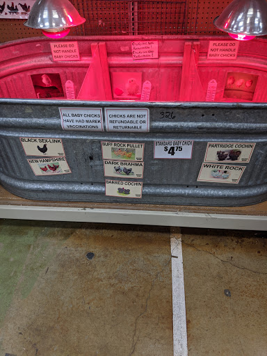 Pet Supply Store «Concord Feed Pet & Livestock Supplies», reviews and photos, 228 Hookston Rd, Pleasant Hill, CA 94523, USA