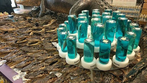 Gift Shop «Magic Castle Gift Kingdom», reviews and photos, 7646 W Irlo Bronson Memorial Hwy, Kissimmee, FL 34747, USA