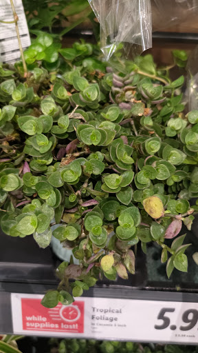 Supermarket «Best Market Massapequa», reviews and photos, 5601 Merrick Rd, Massapequa, NY 11758, USA