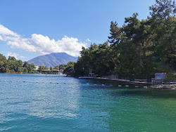 Alesta Beach photo #6