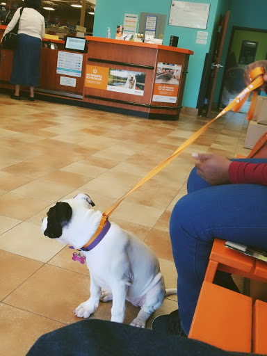 Pet Supply Store «PetSmart», reviews and photos, 1421 Carl D Silver Parkway, Fredericksburg, VA 22401, USA