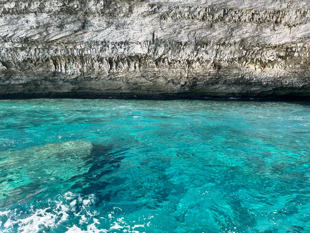 Photo n° 30 de l'avis de DESOLI.l fait le 12/09/2022 à 14:52