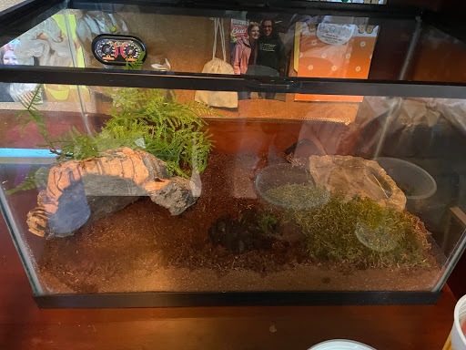 Pet Supply Store «Pet Supplies Plus», reviews and photos, 5708 State St, Saginaw, MI 48603, USA