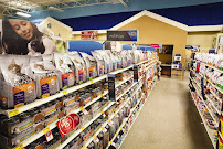 PetSmart - Photo 4 - Car repair in Ypsilanti, MI, Ann Arbor