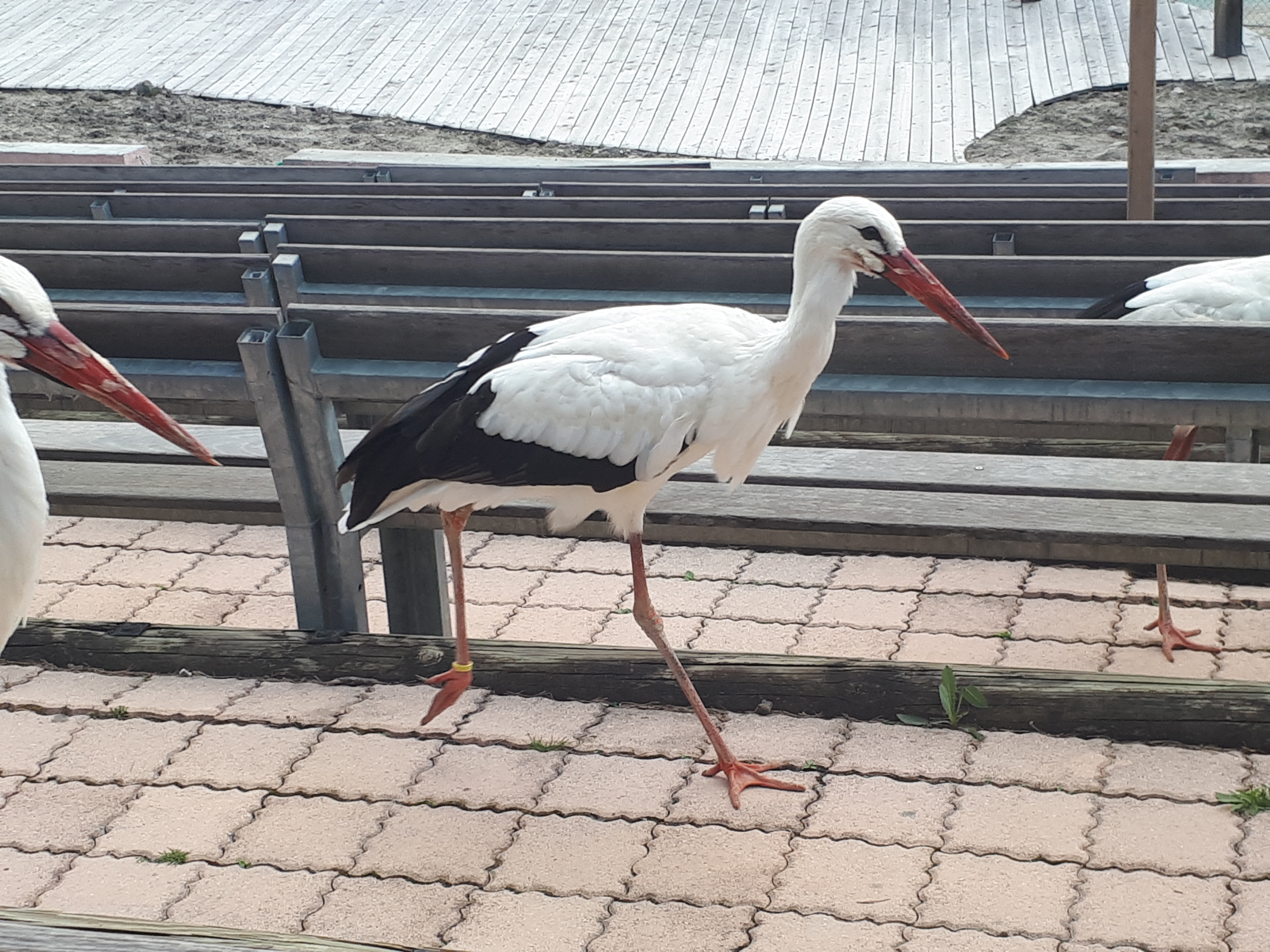 Photo n° 8 de l'avis de Nath.� fait le 16/05/2018 à 21:32