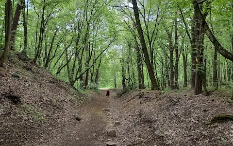 Румлёўскі Парк image