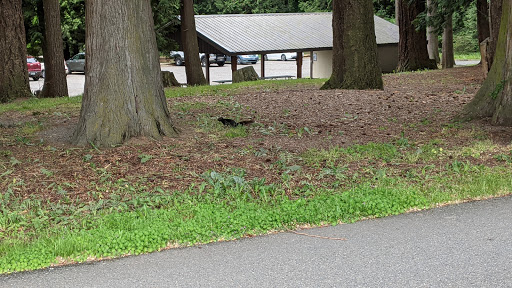 Park «Lynden City Park», reviews and photos