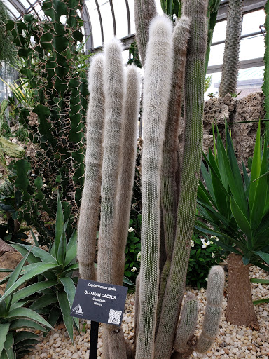 Museum «Dossin Great Lakes Museum», reviews and photos, 100 The Strand, Detroit, MI 48207, USA