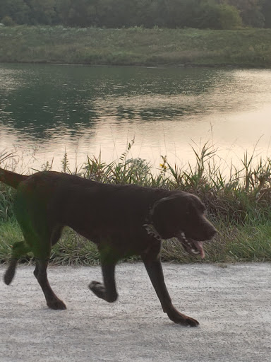 Nature Preserve «Meacham Forest Preserve», reviews and photos, Circle Ave, Bloomingdale, IL 60108, USA