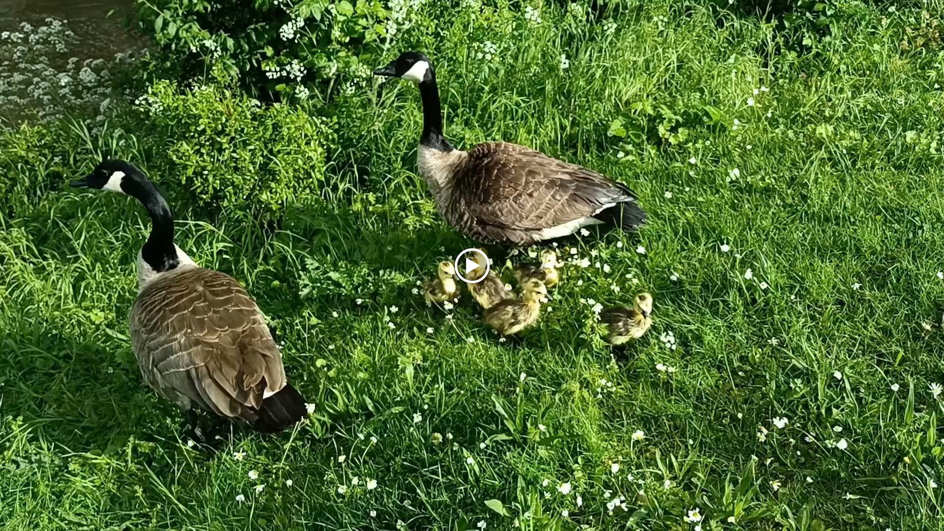 Photo n° 1 de l'avis de D. fait le 10/05/2023 à 10:51