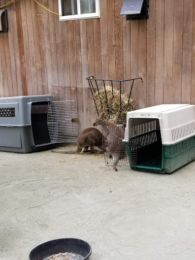 Zoo «Brandywine Zoo», reviews and photos, 1001 N Park Dr, Wilmington, DE 19802, USA