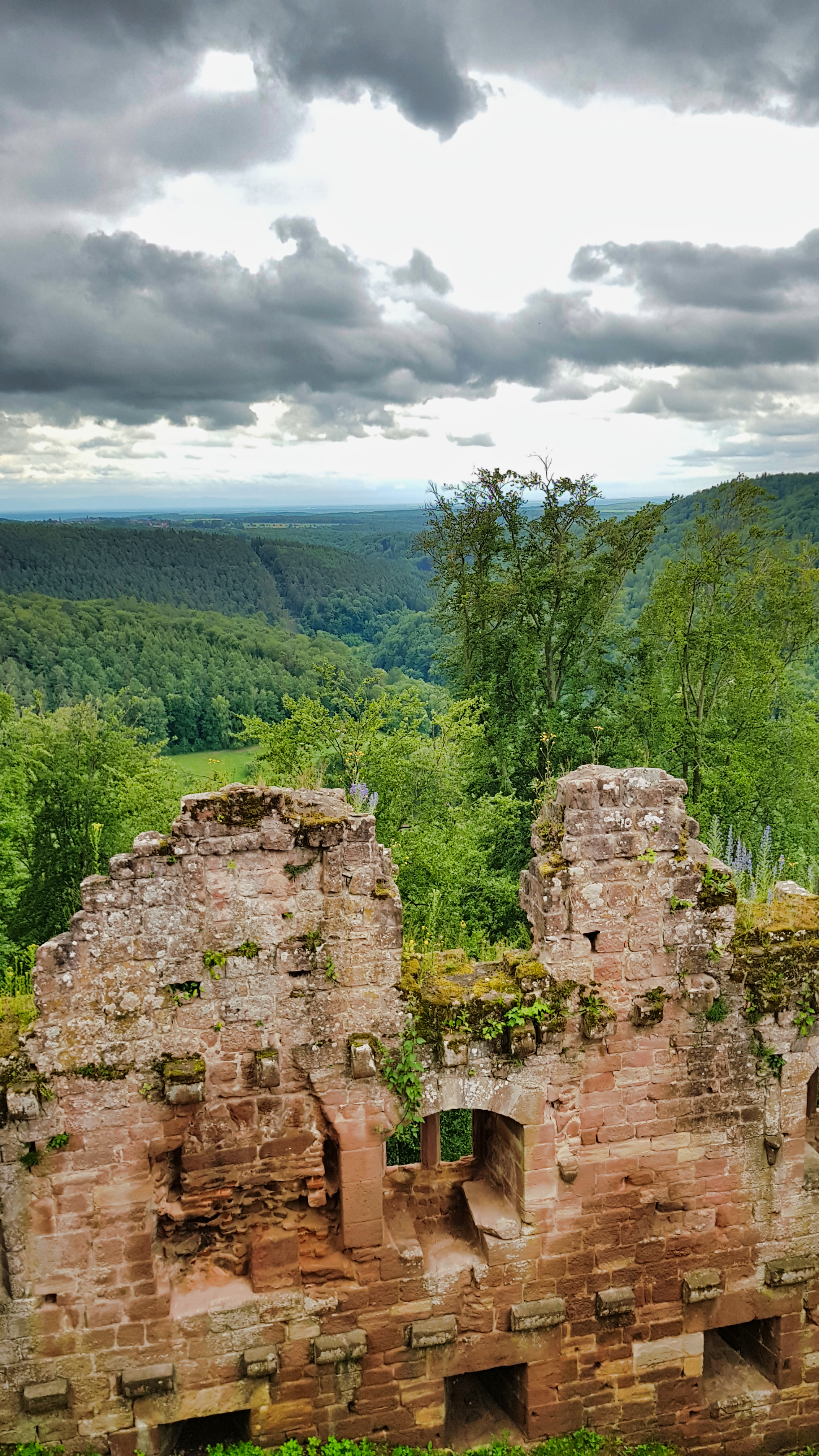 Photo n° 5 de l'avis de Sven.a fait le 15/06/2019 à 16:45