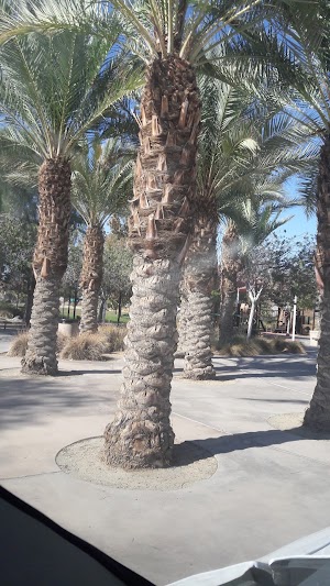George S Patton Park - photo 32