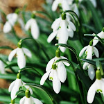 Photo n°1 de l'avis de MARCO.E fait le 31/01/2023 à 12:29 sur le  Albergo Stella D'Oro à Spilimbergo