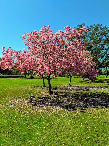 Golf Club «Winter Pines Golf Club», reviews and photos, 950 S Ranger Blvd, Winter Park, FL 32792, USA