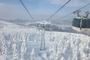 Zao Onsen Ski Resort (Central Run) image