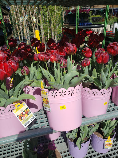 Shopping Mall «Villaggio Shopping Center», reviews and photos, 7959 N Blackstone Ave, Fresno, CA 93720, USA