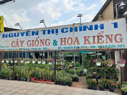 Cây hoa kiểng Nguyễn Thị Chính 1
