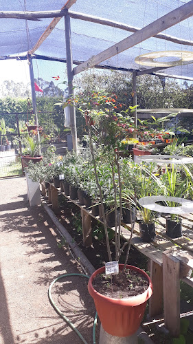 Vivero Francisco De Asis - Centro de jardinería