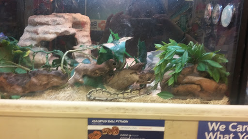 Pet Supply Store «PetSmart», reviews and photos, 1072 Bullsboro Dr, Newnan, GA 30265, USA