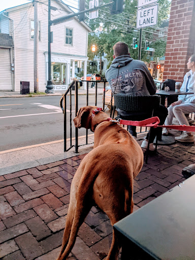 Coffee Shop «Starbucks», reviews and photos, 4A E Bridge St, New Hope, PA 18938, USA