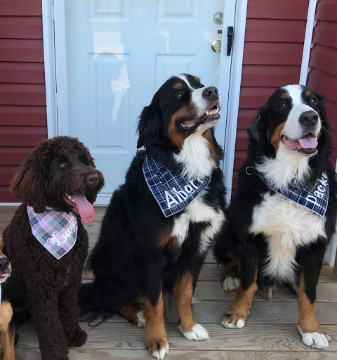 La Crosse Animal Hospital image