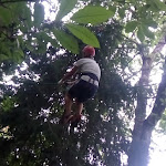 Photo n°4 de l'avis de marica.a fait le 29/07/2019 à 15:34 sur le  Parco Avventura Adrenalina Verde à Serra San Bruno