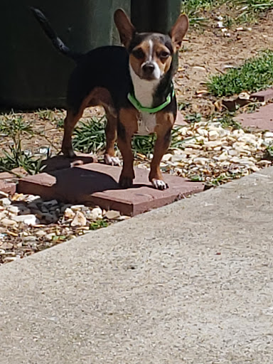 Pet Supply Store «PetSmart», reviews and photos, 1110 Hospitality Dr, Rock Hill, SC 29730, USA