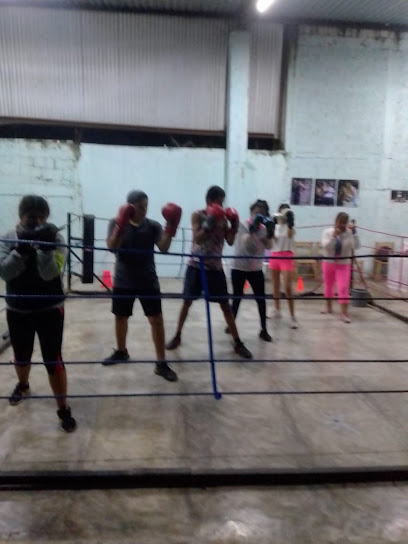 Escuela de Box Camacho Professional Boxing - Casa de la Cultura, Centro, 93820 Misantla, Ver., Mexico