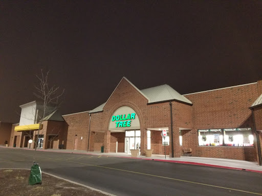Dollar Store «Dollar Tree», reviews and photos, 340 W Army Trail Rd #120, Bloomingdale, IL 60108, USA