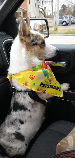 Pet Supply Store «PetSmart», reviews and photos, 248 Westminster Dr, Carlisle, PA 17013, USA