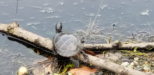 Country Club «Montaup Country Club», reviews and photos, 500 Anthony Rd, Portsmouth, RI 02871, USA