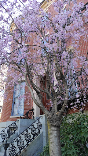 War Memorial «Bunker Hill Monument», reviews and photos, Monument Sq, Charlestown, MA 02129, USA