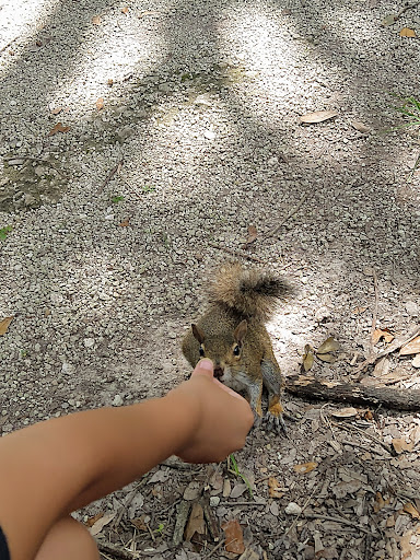 Park «Zinkil Park», reviews and photos, 5451 Washington St, Hollywood, FL 33021, USA