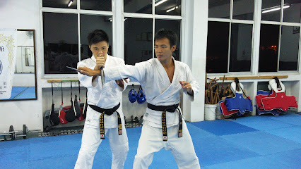 Hapkido Martial Arts Academy