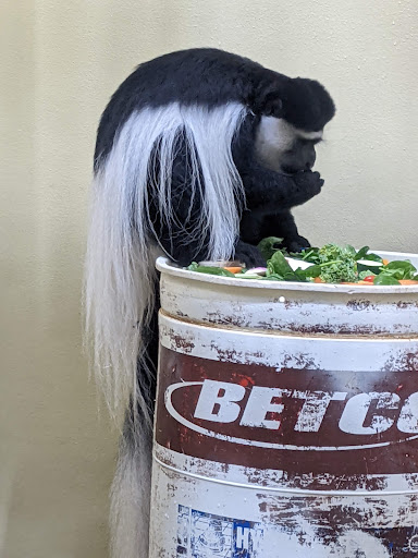 Aquarium «Toledo Zoo Aquarium», reviews and photos, 2700 Broadway St, Toledo, OH 43609, USA