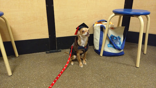 Pet Supply Store «PetSmart», reviews and photos, 310 E Brannon Rd, Nicholasville, KY 40356, USA