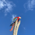 Photo n° 4 de l'avis de Corentin.e fait le 27/02/2023 à 13:58 pour Bioparc de Doué-la-Fontaine à Doué-la-Fontaine