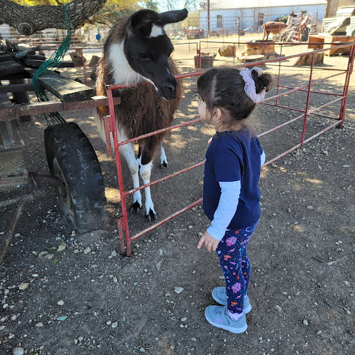 Pony Ride Service «The Farmyard», reviews and photos, 30250 Leroy Scheel Rd, Bulverde, TX 78163, USA