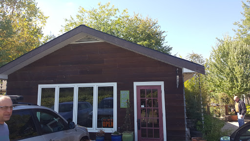 Vineyard «AlexEli Vineyard & Winery», reviews and photos, 35803 OR-213, Molalla, OR 97038, USA